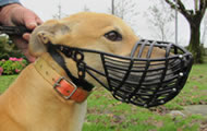 Our Plastic Racing Muzzle