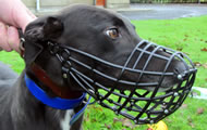 Our standard plastic greyhound muzzle