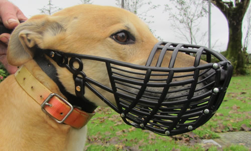 Plastic Coursing and Racing Muzzles 